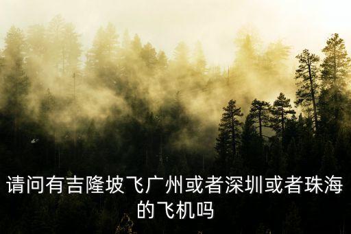 吉隆坡至廣州航班，吉隆坡到廣州飛機坐什么航空公司比較好