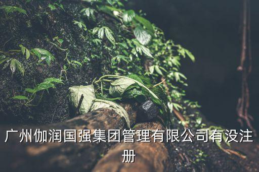 廣州伽潤國強集團管理有限公司有沒注冊