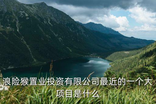 浪險猴置業投資有限公司最近的一個大項目是什么