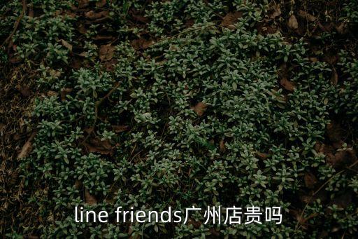 line friends廣州店貴嗎