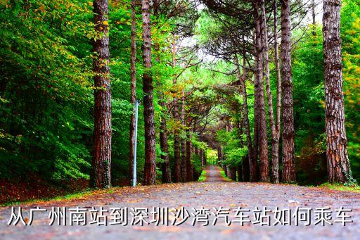 從廣州南站到深圳沙灣汽車站如何乘車