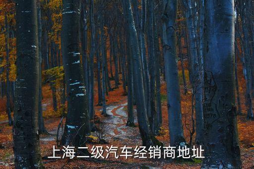 上海二級汽車經銷商地址