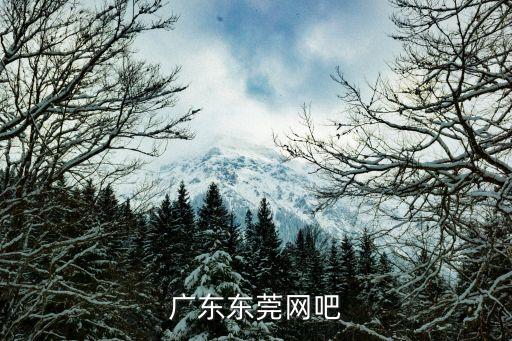 東莞市樂景網(wǎng)吧，東莞市橫瀝神山附近有什么網(wǎng)吧