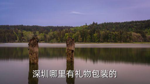 深圳禮品包裝一般去什么店，深圳哪里有禮物包裝的