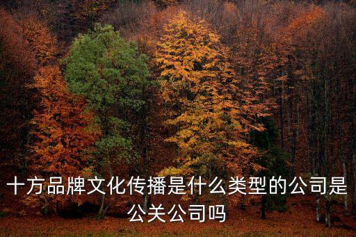 深圳十方傳媒有限公司，文化傳播有限公司 準確的說屬于什么行業