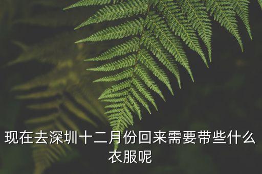 12月末深圳穿什么衣服，在12月中旬深圳要穿什么衣服