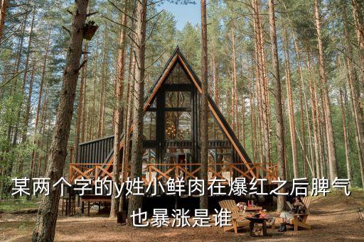 某兩個字的y姓小鮮肉在爆紅之后脾氣也暴漲是誰