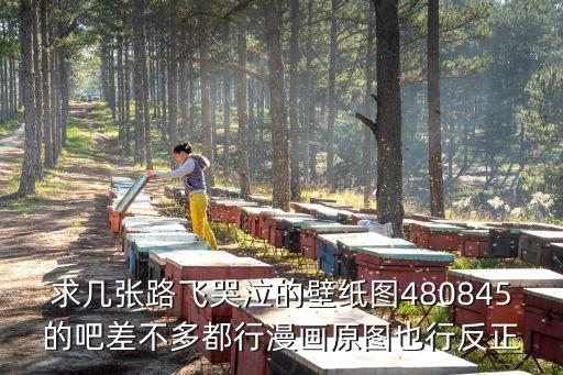 穿深圳校服的路飛壁紙，求這張路飛船長背影的高清圖順帶問下高清的OP壁紙都哪找的