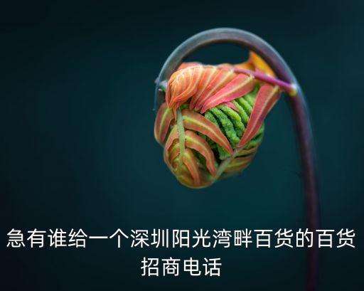 急有誰給一個(gè)深圳陽光灣畔百貨的百貨招商電話