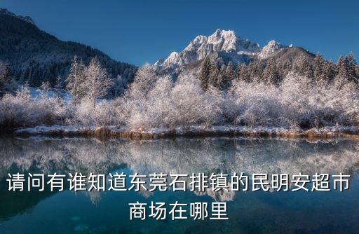東莞石排鎮(zhèn)市場(chǎng)在哪，在線求助那位朋友知道東莞石排的二手電器市場(chǎng)在那里具體位置