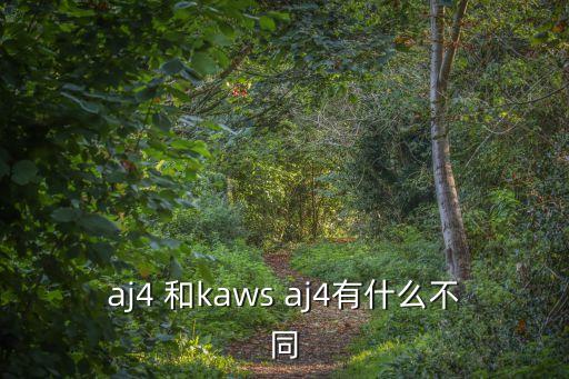 aj4 和kaws aj4有什么不同