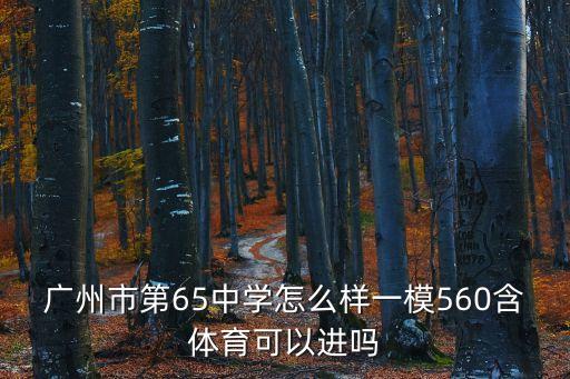 廣州市第65中學怎么樣一模560含體育可以進嗎