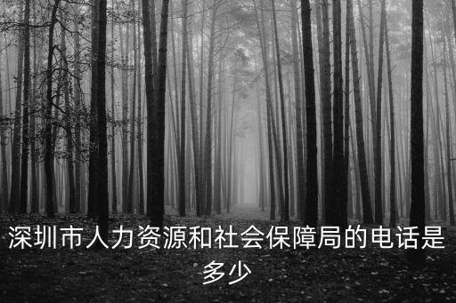 深圳市大鵬新區人力資源服務中心電話，深圳人事局電話