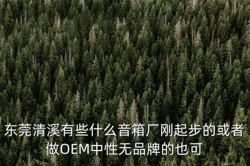 東莞清溪有些什么音箱廠剛起步的或者做OEM中性無品牌的也可