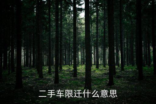 二手車限遷什么意思