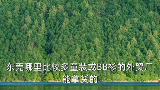 東莞哪里比較多童裝或BB衫的外貿廠能拿貨的