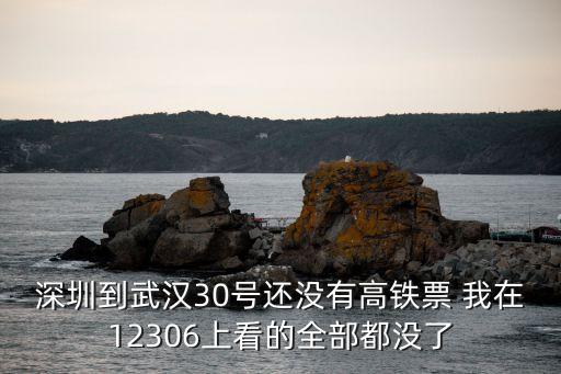 12306深圳到武漢動(dòng)車(chē)票，深圳到武漢30號(hào)還沒(méi)有高鐵票 我在12306上看的全部都沒(méi)了