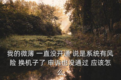 東莞市清溪精工眼鏡店，我的微薄 一直沒開通 說是系統有風險 換機子了 申訴也沒通過 應該怎么