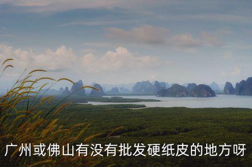 廣州或佛山有沒有批發硬紙皮的地方呀