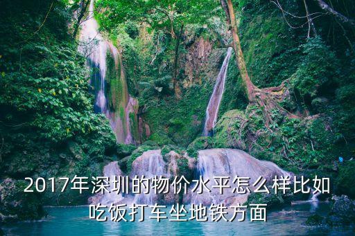 2017年深圳的物價水平怎么樣比如吃飯打車坐地鐵方面