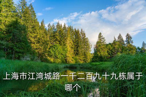 上海市江灣城路1299弄屬于哪個區，上海江灣屬于哪個區