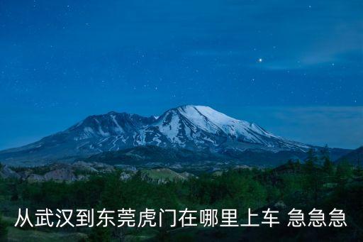從武漢到東莞虎門在哪里上車 急急急