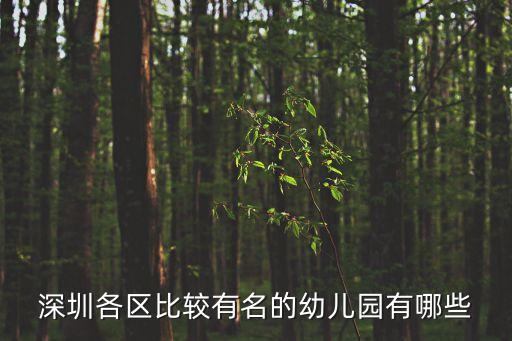 深圳各區比較有名的幼兒園有哪些