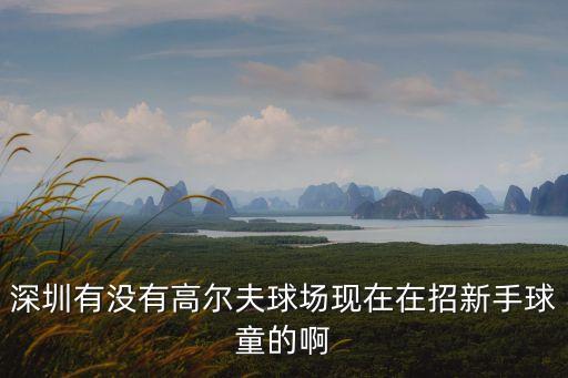 深圳有沒有高爾夫球場現在在招新手球童的啊