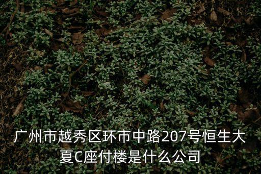 廣州金度實業有限公司，廣州市越秀區環市中路207號恒生大夏C座付樓是什么公司