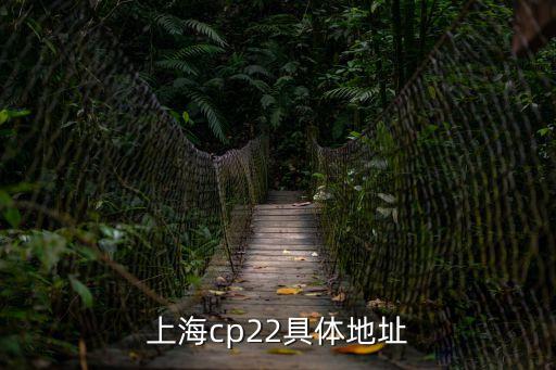 上海市心理展會主辦方，上海市博會