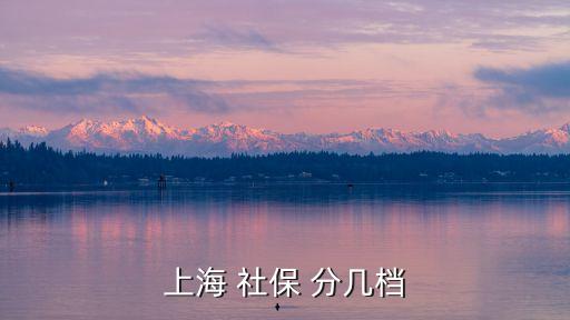 上海市管企業一檔，說知道上海建筑企業特級及一級的有多少家謝謝哪位好心人