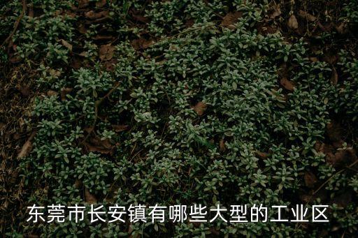 東莞市長安鎮有哪些大型的工業區