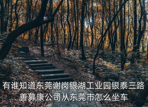 有誰知道東莞謝崗銀湖工業園銀泰三路善募康公司從東莞市怎么坐車