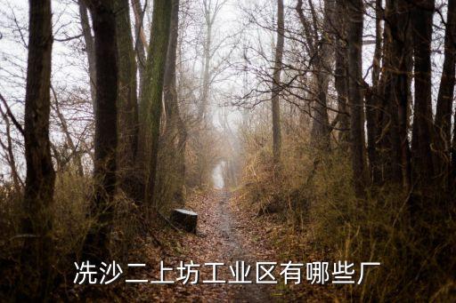 冼沙二上坊工業區有哪些廠