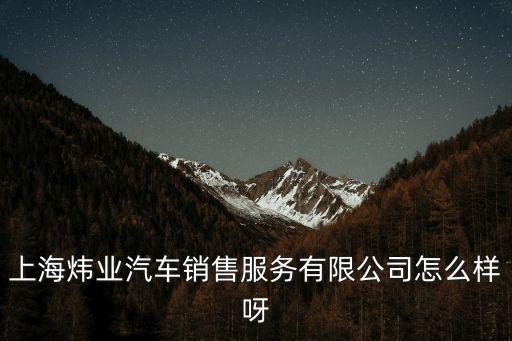 上海煒業汽車銷售服務有限公司怎么樣呀