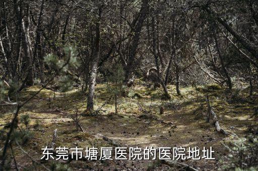 東莞塘廈醫院新址，東莞市塘廈醫院的歷史沿革