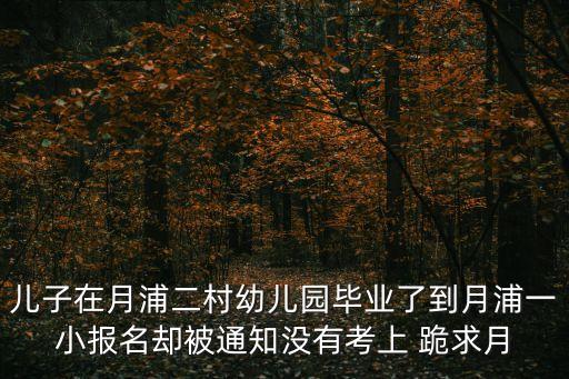上海市月浦二村幼兒園怎么樣，我是外地人小孩在月浦二村幼兒園畢業了要上小學了可是去月