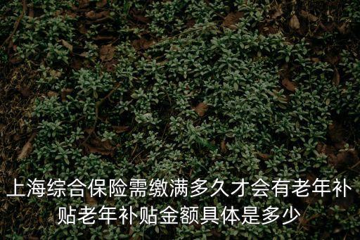 上海市的老人補貼，上海市區老人住郊區養老院有補貼嗎到那里領取