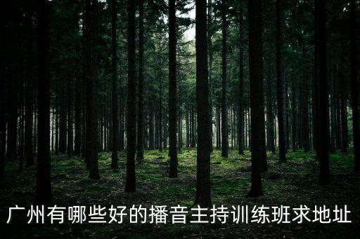 廣州哪里有小主持人班，大朗小主持人培訓(xùn)班在哪里