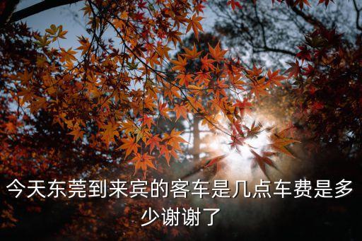 東莞到廣西來賓的汽車，東莞有到廣西來賓的汽車嗎