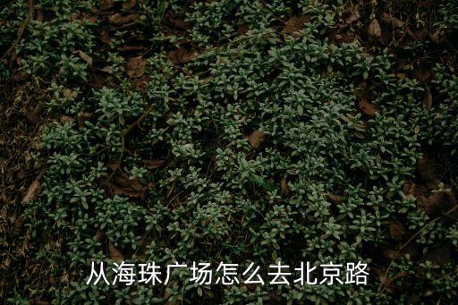 從海珠廣場(chǎng)怎么去北京路