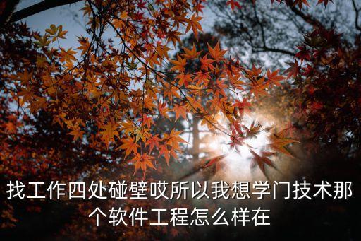 找工作四處碰壁哎所以我想學門技術那個軟件工程怎么樣在
