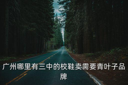 廣州哪里有三中的校鞋賣需要青葉子品牌