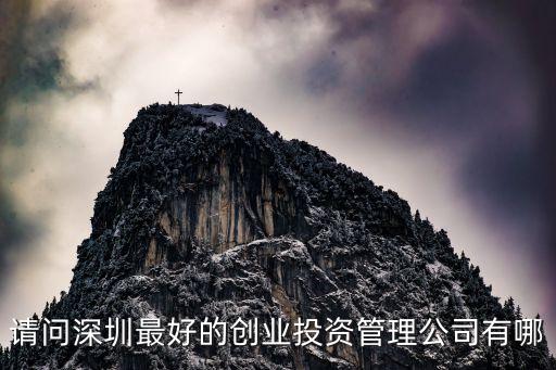 請(qǐng)問(wèn)深圳最好的創(chuàng)業(yè)投資管理公司有哪