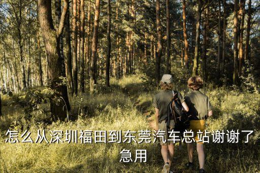 福田美術館如何回東莞，如何從深圳福田區去東莞松山湖