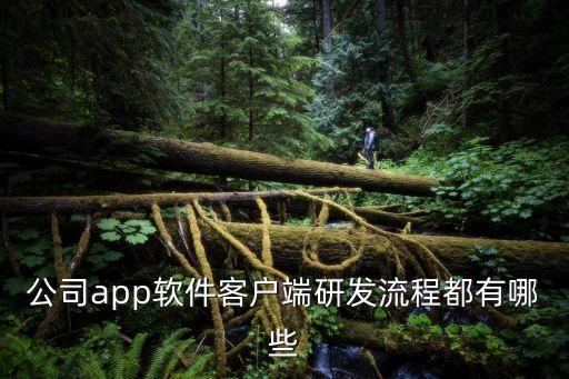深圳洲明電子研發，公司app軟件客戶端研發流程都有哪些