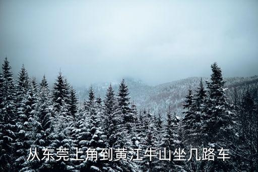 東莞上角到黃江牛山，從東莞火車站到牛山怎么坐車