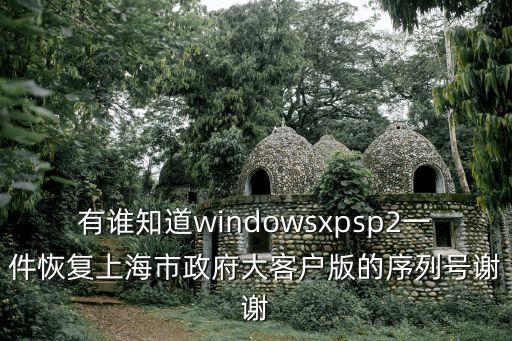 有誰知道windowsxpsp2一件恢復上海市政府大客戶版的序列號謝謝