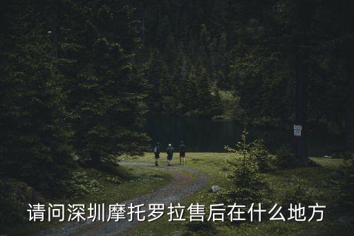 深圳市偉達摩托維修有限公司，深圳那里有修摩托車店