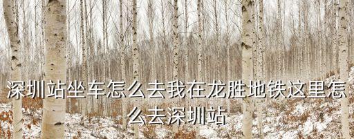 深圳燕南地鐵站到龍勝地鐵，坐地鐵從深圳市內到龍勝要多久